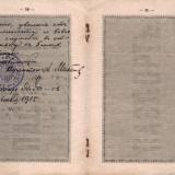 Екатеринодар. Паспорт Макарова Владимира Михайловича, 1915 год. Лист 10-11