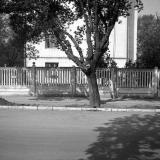 Краснодар. На улице Октябрьской. Вид на дом Орджоникидзе № 25
