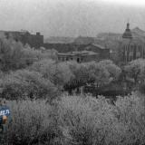 Краснодар. Вид на Первомайский сквер, середина 1950-х.