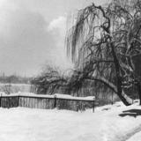 Краснодар. Зимой на верхнем Покровском озере.