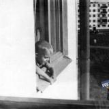 Краснодар, Вид с балкона дома ул. им. Айвазовского, 1965 год