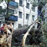 Краснодар. Упавшее дерево после ночной грозы на Димитрова 129 или 131, 1989 год.