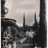 Сочи. Дендрарий. Лестница на верхнюю терассу. 1935 год