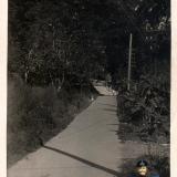 Сочи. Строительство автомагистрали Сочи-Мацеста. Пешеходная тропа. 1935 год