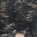 Сочи. Верещагинский парк, до 1917 года