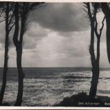 Сочи. Вид на море, 1949 год