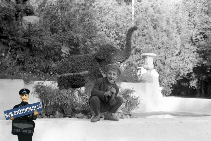 Краснодар. Парк Горького, у фонтана "цветочный слоник". 1 октября 1967 год.