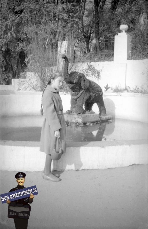 Краснодар. В горпарке у фонтана с "цветочным слоном", 1961 год