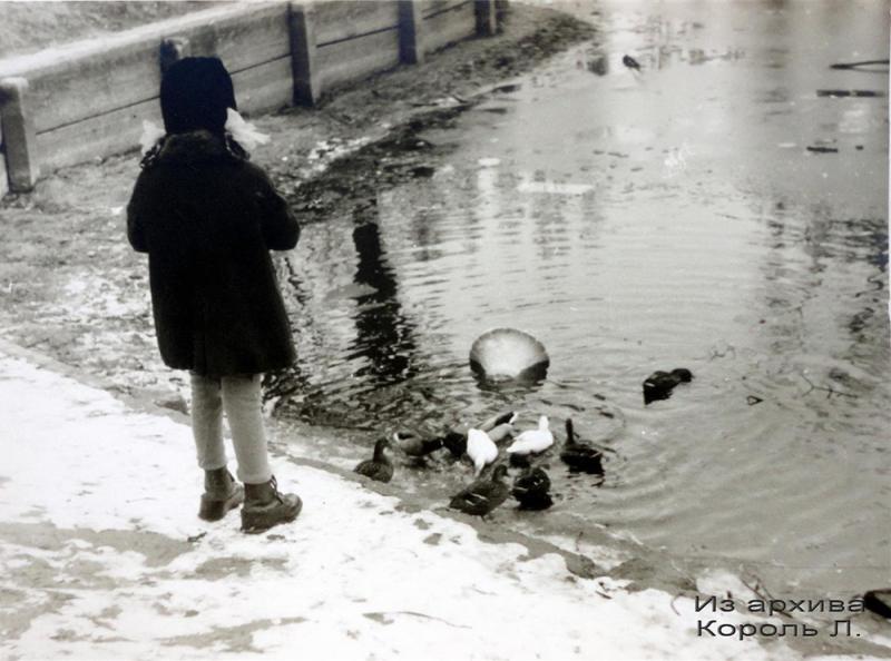 Краснодар. Парк им.Горького, 10 января 1965 года. Краснодар. Парк им.Горького, 10 января 1965 года.